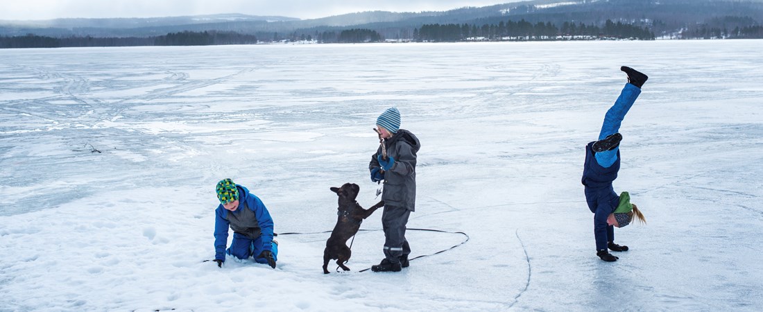 Barn och hund leker på is. Vinterlandskap i bakgrunden.