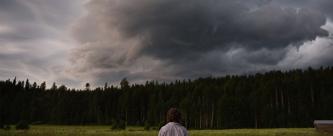 En person står på ett fält vid en skog, himlen är mörk och full av moln