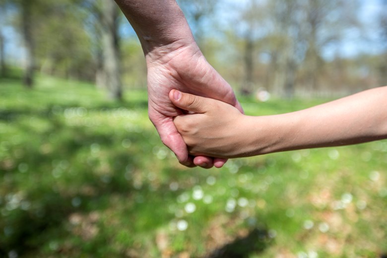 Närbild på barn och vuxen som håller hand i skogen. 